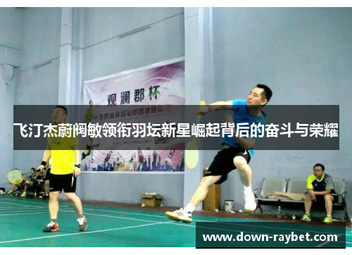 飞汀杰蔚阀敏领衔羽坛新星崛起背后的奋斗与荣耀