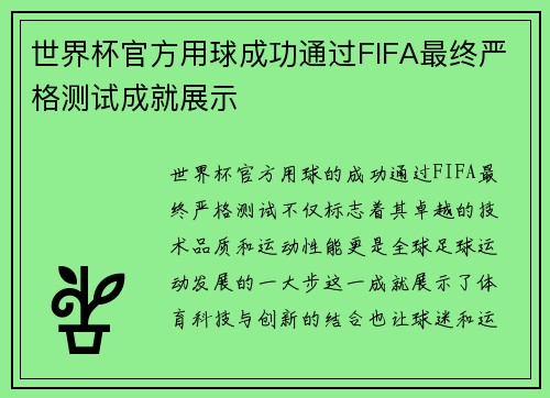 世界杯官方用球成功通过FIFA最终严格测试成就展示